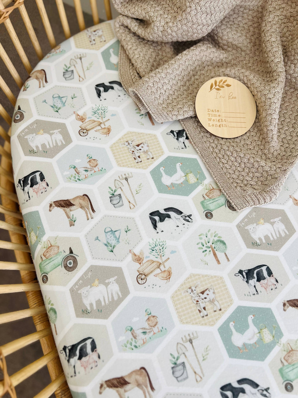 Cuddle Bug & Co Co-Sleeper Sheet Patchwork Farm