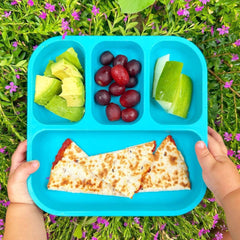 Plant-Based Bento Plate - Blue (22x21cm)
