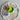Squishy Play Playdough Tub – Dinosaur