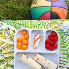Plant-Based Bento Plate -  Grey (22x21cm)