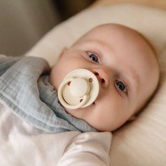 BIBS De Lux Pacifier 2 Pack