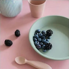 BIBS Dinner Set