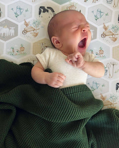 Cuddle Bug & Co Co-Sleeper Sheet Patchwork Farm