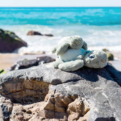 Little Tyler Turtle Soft Toy 7.8" / 20cm