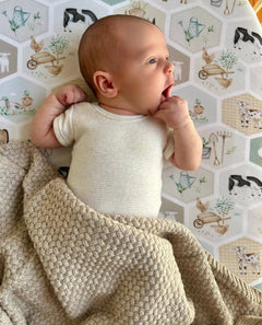 Cuddle Bug & Co Co-Sleeper Sheet Patchwork Farm